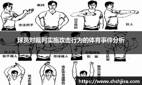 球员对裁判实施攻击行为的体育事件分析